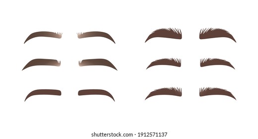 Set of Eyebrows shape. Eyebrow shapes. Various types of eyebrows. Makeup tips. Eyebrow shaping for women. Classic type and different thickness of brows.
