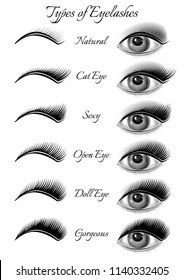 Set  of eyes and black eyelashes of different types. Vector illustration.