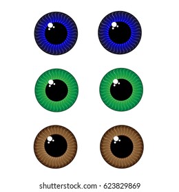 Set of eyes on white background. Vector illustration.