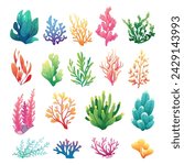 Set of fabulous sea corals and algae on white background. Cartoon vector illustration of sea flora in gradient