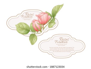 Juego de etiquetas faciales y traseras, pegatinas para productos alimenticios o cosméticos en grabado, vintage, viejo, retro de estilo chic. Ilustración vectorial de material.