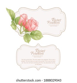 Set of face and back labels, stickers for food products or cosmetics in engraving, vintage, old, retro shabby chic style.. Stock vector illustration.