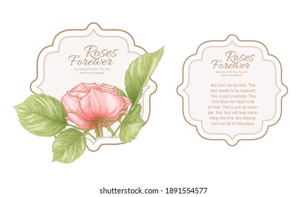 Set of face and back labels, stickers for food products or cosmetics in engraving, vintage, old, retro shabby chic style.. Stock vector illustration.