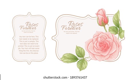 Set of face and back labels, stickers for food products or cosmetics in engraving, vintage, old, retro shabby chic style.. Stock vector illustration.