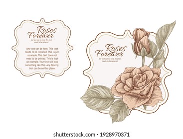 Set of face and back labels, stickers for food products or cosmetics in engraving, vintage, old, retro shabby chic style.. Stock vector illustration.