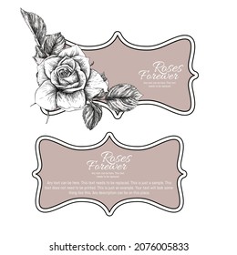 Set of face and back labels, stickers for food products or cosmetics in engraving, vintage, old, retro shabby chic style.. Stock vector illustration.