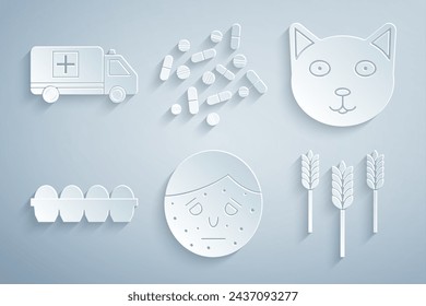 Set Face with psoriasis or eczema, Pet, Chicken egg in box, Wheat, Medicine pill tablet and Emergency car icon. Vector