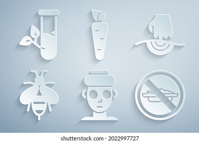 Set Facial cosmetic mask, Massage, Bee, Food no diet, Carrot and Laboratory glass and leaves icon. Vector