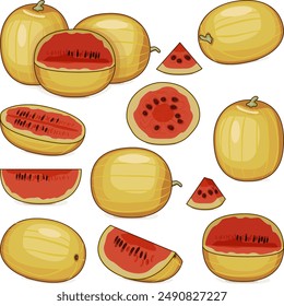 Set of Faerie watermelon. Citrullus lanatus. Fruits and vegetables. Clipart. Isolated vector illustration.