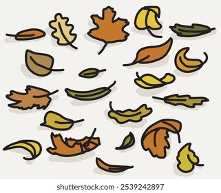 set of fall autumn leaves orange red green easy vector symbols isolated on white background