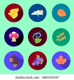 Set of fall autumn vector icon illustration. Fall autumn vector with leaves, grapes, wind, mushroom, weather, and plants. Cute vector illustration. Isolated on green background