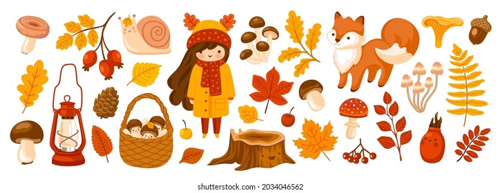 Set of fall forest elements: falling leaves, basket with mushrooms, cute fox, snail, acorn. Autumn season collection for greeting card, stickers, prints, wrapping paper. Vector cartoon illustration.