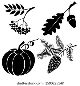 Set of fall graphic cliparts: pumpkin, acon, pine cone, rowan. Black vector silhouettes.