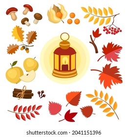 A set of fall items. Lantern, autumn leaves, fruits, mushrooms and spices. Rowan, oak, maple, apples, acorns, physalis. Autumn mood, foliage, elements for autumn cards and sales. Vector flat icons