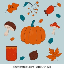 A set of fall items. Pumpkin, rose hips, wild mushrooms. Autumn leaves and jam. Vector illustration of autumn objects