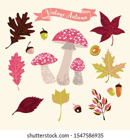 Conjunto de hojas de otoño y champiñones
