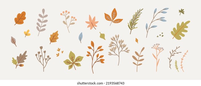 Set of fall twigs with leaves, foliage, berries. Cute and cozy autumn drawn design elements. Vector illustration