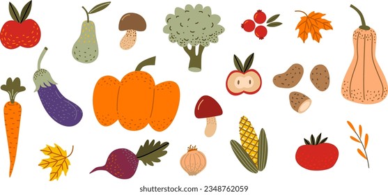 Set of fall vegetables and fruits in warm colors. Autumn harvest vector illustration. Pumpkin, carrots, apple, cabbage, corn, cranberry, mushroom isolated on white background.