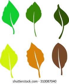 A set of fallen leaves.