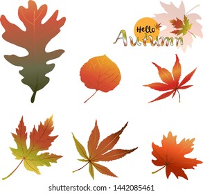 Set of falling Autumn Leaves isolated on white background, Vector illustration cartoon collections of early autumn leaves in green and orange  foliage
