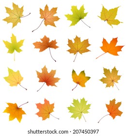 53,307 Falling Maple Leaves Images, Stock Photos & Vectors | Shutterstock