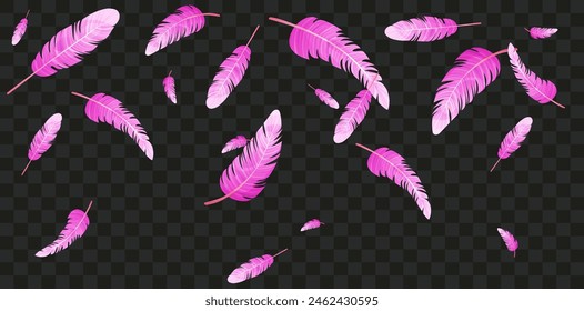 Set with falling pink flamingo feathers on transparent background