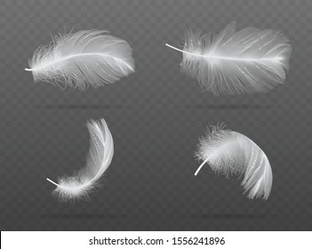 set of falling white bird feather on a dark background  vector