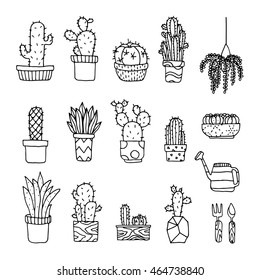 Set of fancy cactus plants  vector illustration