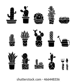 Set of fancy cactus plants vector illustration