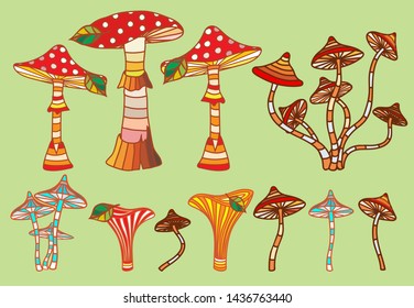 A set of fancy mushrooms. Various toadstools grow in the forest. Vector illustration