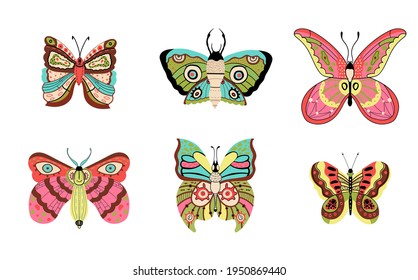 Set of Fantastic Tropical Butterfly Insects vector