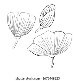 Set with fantasy flowers in black outline on a white background. Isolated vector objects.  