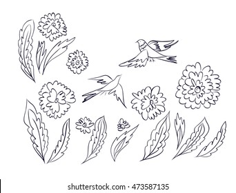 Set of fantasy flowers, leaves and beautiful birds.  Monochrome floral design elements isolated. Vector illustration hand drawn. Thin lines drawings.