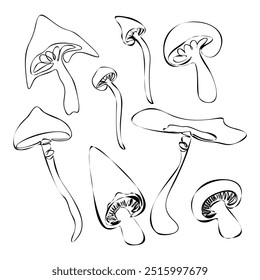 Set of fantasy mushrooms. Hand drawn vector illustrations collection. Forest plants sketches. Botanical set. Continuous Line drawing isolated on white background