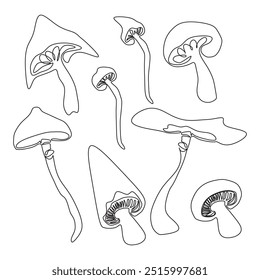 Conjunto de cogumelos de fantasia. Coleção de ilustrações vetoriais desenhadas à mão. Esboços de plantas florestais. Conjunto botânico. Desenho de linha contínua isolado sobre fundo branco