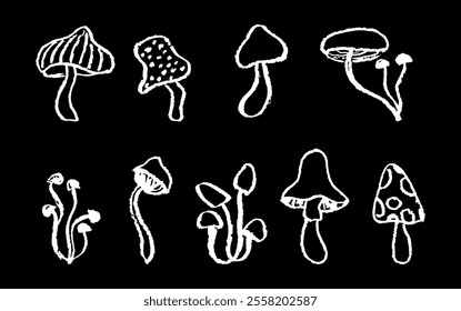 Set of fantasy mushrooms. Line art funny floral elements. White chalk or pastel mushroom sketch collection in 1960s or 1970s style. Vector groovy icons in children style, drawn by crayon pencil