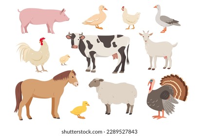 Reihe von Nutztieren und Vögeln in verschiedenen Posen. Kühe, Schafe, Schweine, Pferde und Ziegen, Hennen, Hähnchen, Enten, Gänse, Truthühner und Hühner. Vektorflache oder Cartoon-Illustration Tiersymbole einzeln.