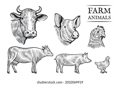 Reihe von Nutztieren. Schwarz-Weiß-handgezeichnet (Schwein, Kuh, Huhn) auf weißem Hintergrund.