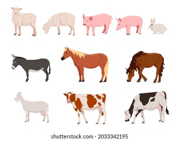 Set of farm animals. Country pet. Isolated character on a white background. Vector illustration in a flat style.