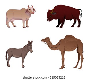 Set of farm animals - cow, bull, camel, donkey