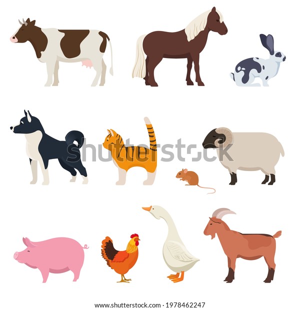 Set Farm Animals Cow Pig Horse Stock Vector (Royalty Free) 1978462247 ...