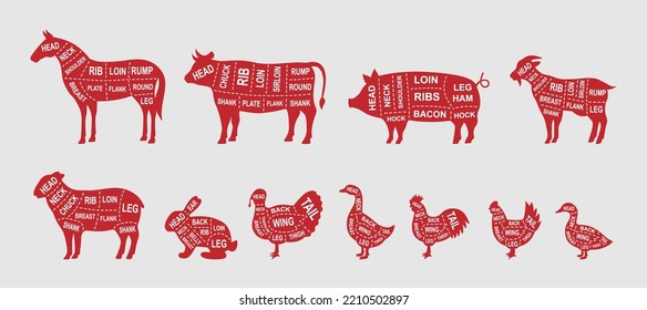 Set of farm animals diagram cuts. Butcher scheme poster. Pig, Horse, Turkey, Goat, Sheep, Chicken, Rooster, Duck, Rabbit, Goose, Cow cuts of meats.