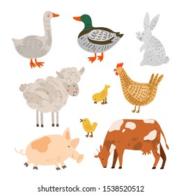 Set of farm animals and domestic fowl, agricultural birds.  Flat cartoon isolated illustration. Hand drawn vector characters. Chickens, sheep, duck, cow, pig, rabbit.