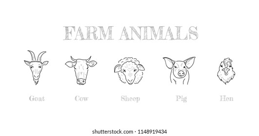 Set of farm animals hand drawing