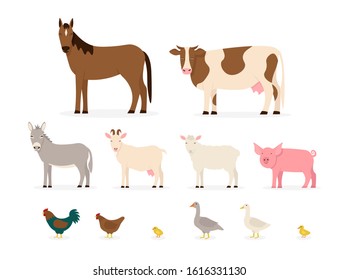 Set farm animals: horse, cow, donkey, goat, sheep, pig, rooster, hen, chicken, goose, duck, duckling. Flat vector cartoon illustration isolated white background.