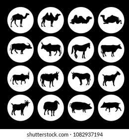 Set of farm animals icons. Vector illustration isolated on white background
