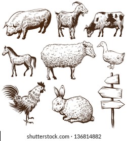 Set of farm animals isolated on a white backgrounds