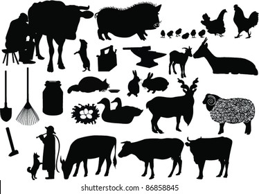 set of farm animals isolated on white background