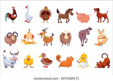 Set of farm animals. Livestock and poultry. Various domestic birds, horses, pig, rabbit, sheep, cats and dogs. Colorful flat vector design