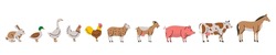 Set Of Farm Animals. Rabbit, Duck, Goose, Chicken, Rooster, Sheep, Goat, Pig, Cow, Horse Silhouettes. Farm Animals Set